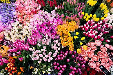 《高层都市（Highrise City）》现已登陆抢先体验